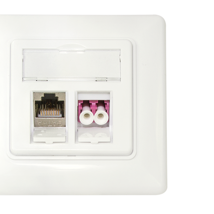 Keystone Faceplate for 2 Keystone Jacks RAL9010 White