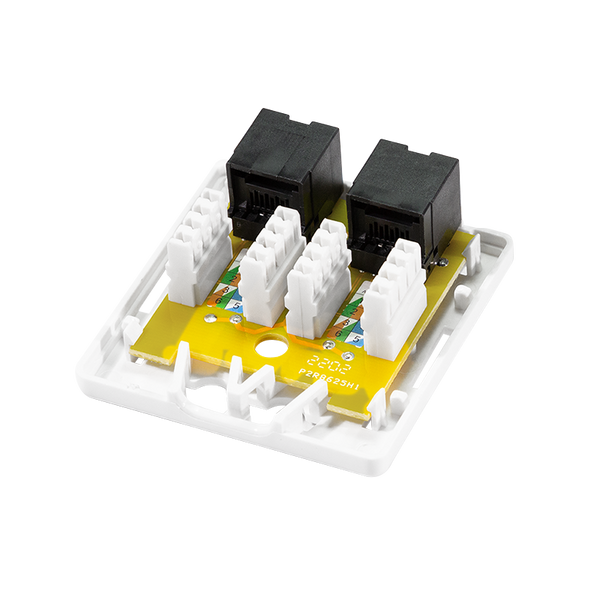 CAT6a surface-mounted box 2x RJ45 UTP