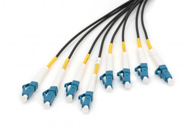 Pre-assembled 75 M Fiberglass Universal Breakout Cable, Single Mode OS2, 8 Fibers, LC/UPC - LC/UPC