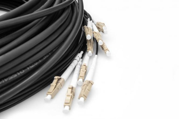 Pre-assembled Fiberglass 75 M Universal Breakout Cable, Multi Mode OM4, 12 Fibers, LC/UPC - LC/UPC