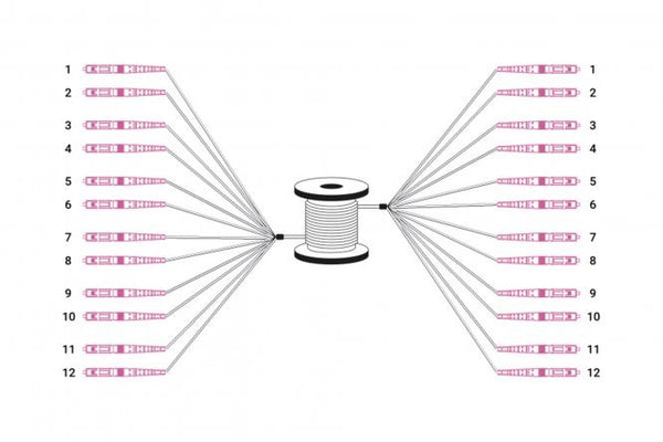 Pre-assembled Fiberglass 30M Universal Breakout Cable, Multi Mode OM4, 12 Fibers, LC/UPC - LC/UPC